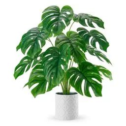 Sztuczna monstera w białej doniczce Der Rose 71 cm